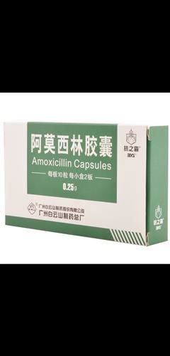 抗之霸 抗生素領域的有力背脊